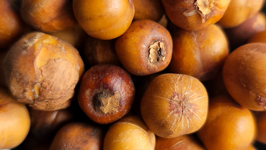 Country Onions: Onion That Tastes Like Garlic