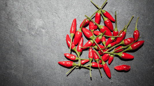 Bird’s Eye Chili Pepper Plant from The Heart of Africa